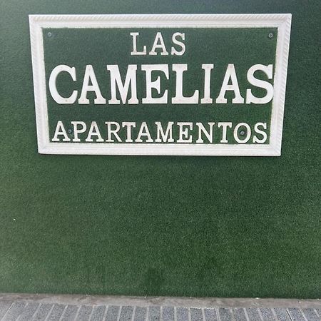 Yumbo Appartamenti Las Camelias Playa Del Ingles ภายนอก รูปภาพ