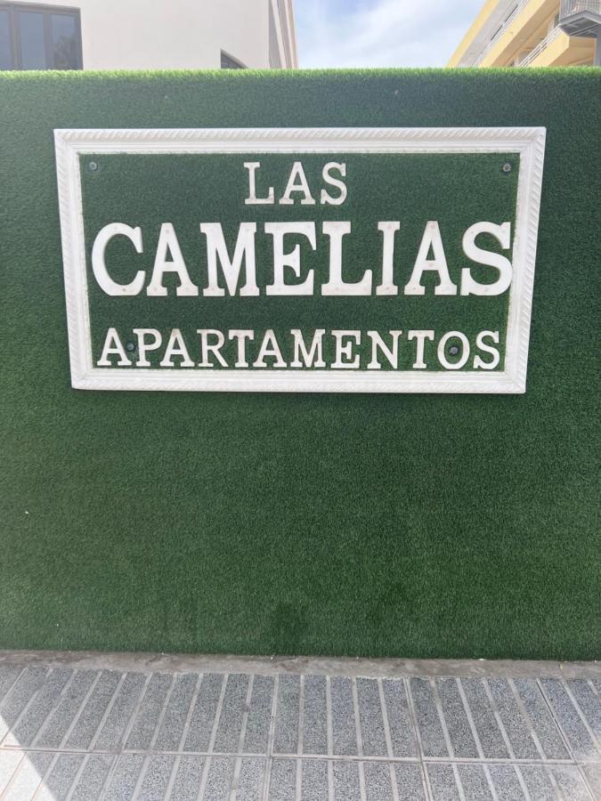 Yumbo Appartamenti Las Camelias Playa Del Ingles ภายนอก รูปภาพ